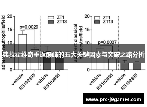 弗拉霍维奇重返巅峰的五大关键因素与突破之路分析