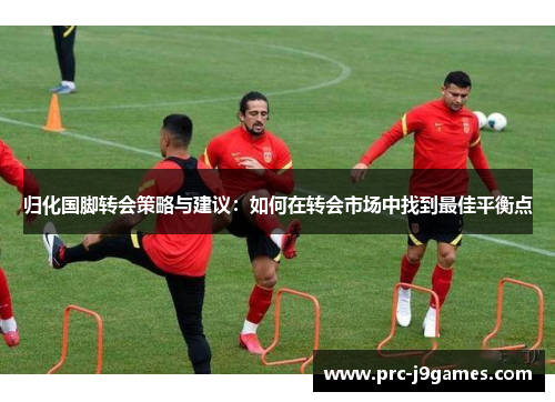 归化国脚转会策略与建议：如何在转会市场中找到最佳平衡点
