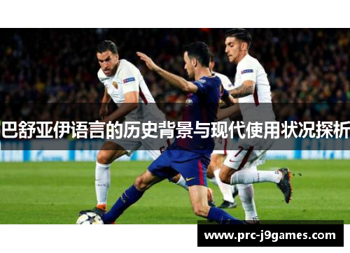 巴舒亚伊语言的历史背景与现代使用状况探析