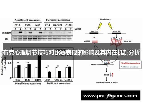布克心理调节技巧对比赛表现的影响及其内在机制分析 布克心理调节技巧对比赛表现的影响及其内在机制分析