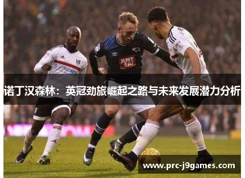 诺丁汉森林：英冠劲旅崛起之路与未来发展潜力分析