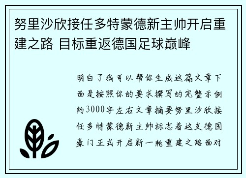 努里沙欣接任多特蒙德新主帅开启重建之路 目标重返德国足球巅峰 努里沙欣接任多特蒙德新主帅开启重建之路 目标重返德国足球巅峰